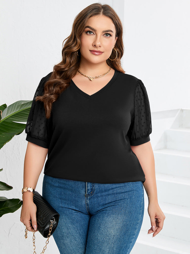 Richa - Sheer Sleeve V-Neck Top